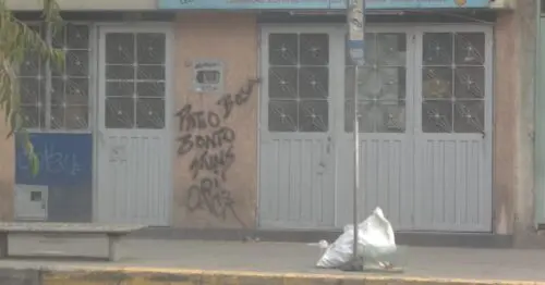 PAJARERA PIOLIN PAJARERA PIOLIN